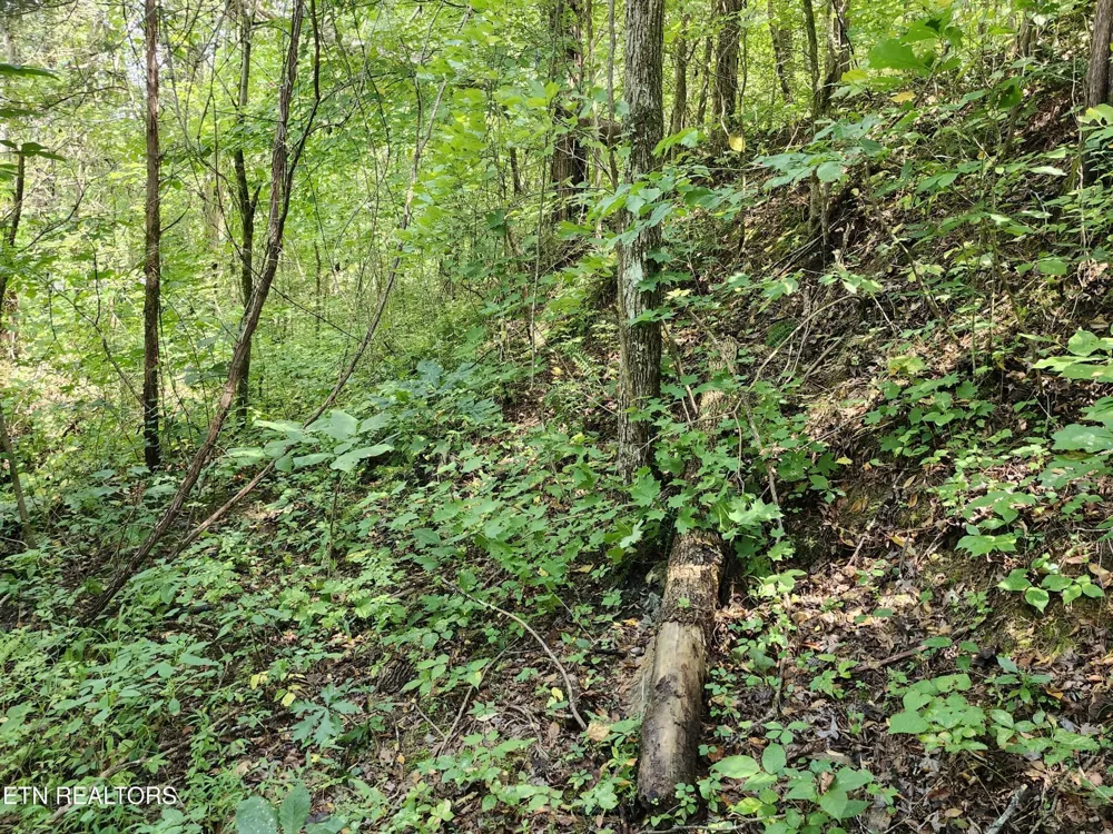 340 Swadis Drive Sevierville, TN 37876