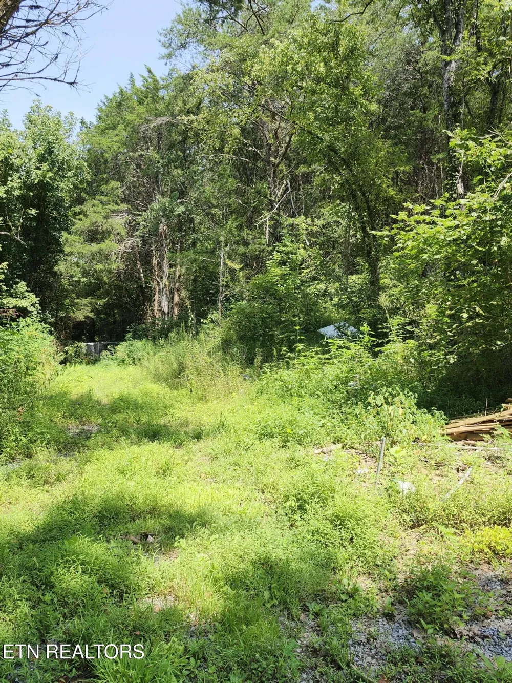 340 Swadis Drive Sevierville, TN 37876