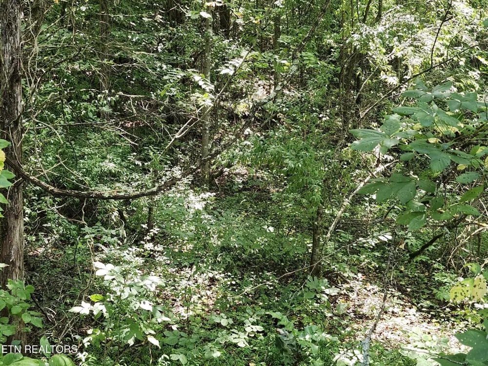 340 Swadis Drive Sevierville, TN 37876