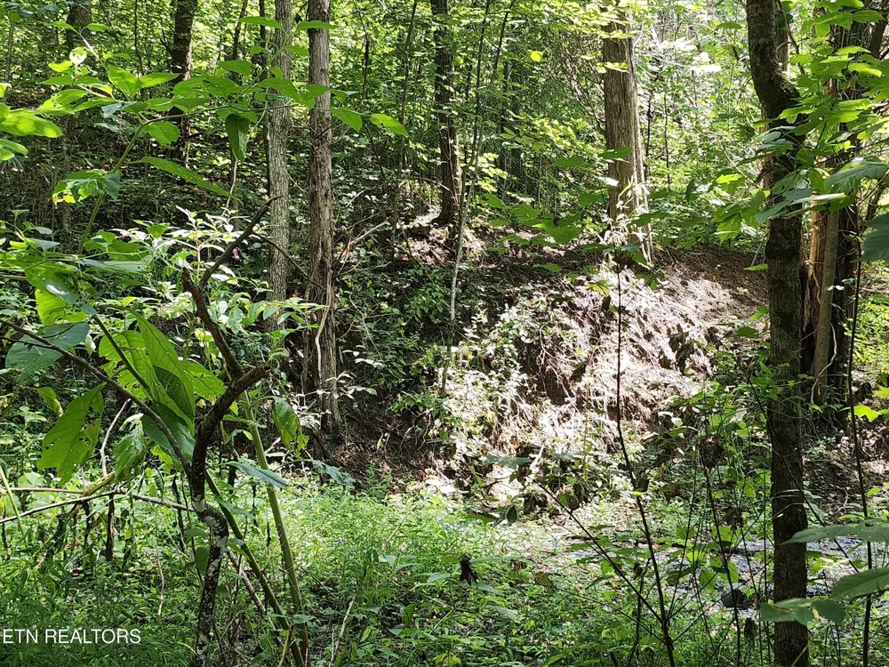 340 Swadis Drive Sevierville, TN 37876