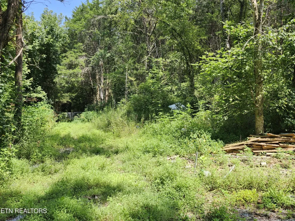 340 Swadis Drive Sevierville, TN 37876