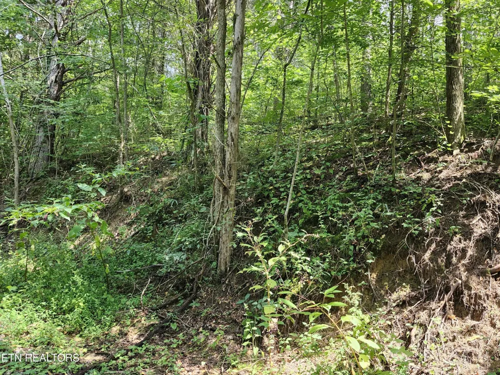 340 Swadis Drive Sevierville, TN 37876