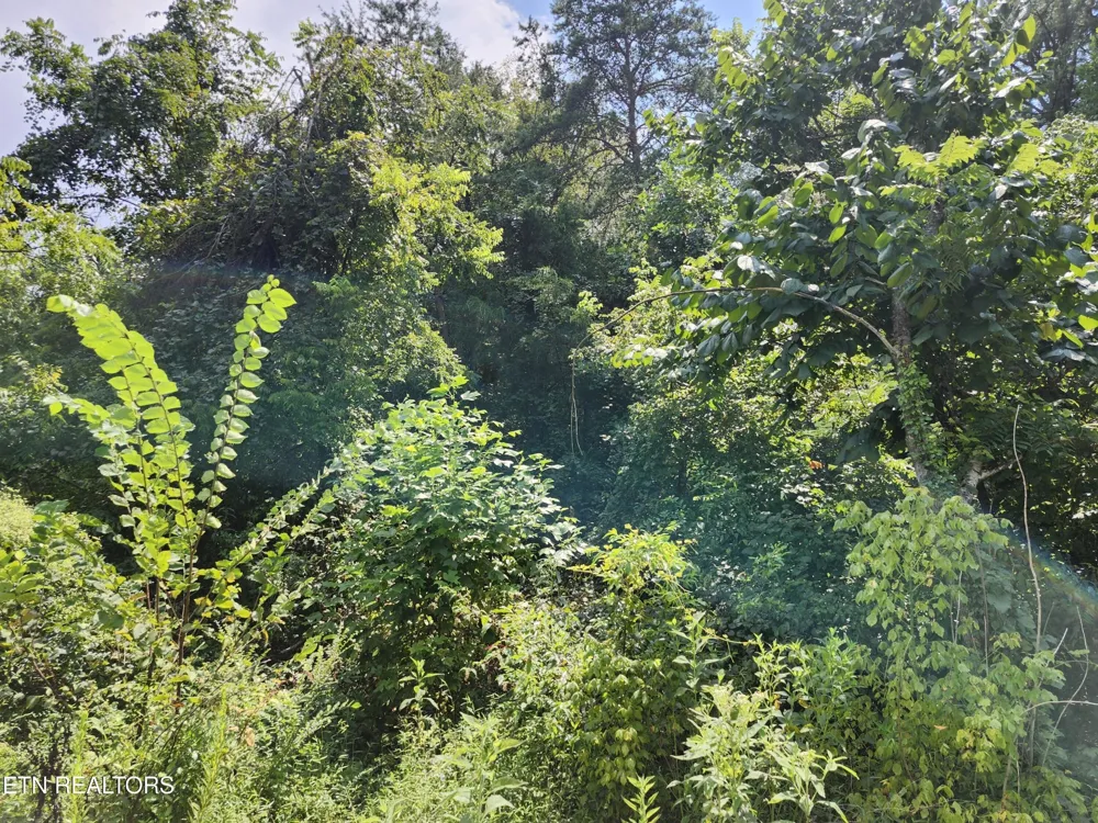 340 Swadis Drive Sevierville, TN 37876