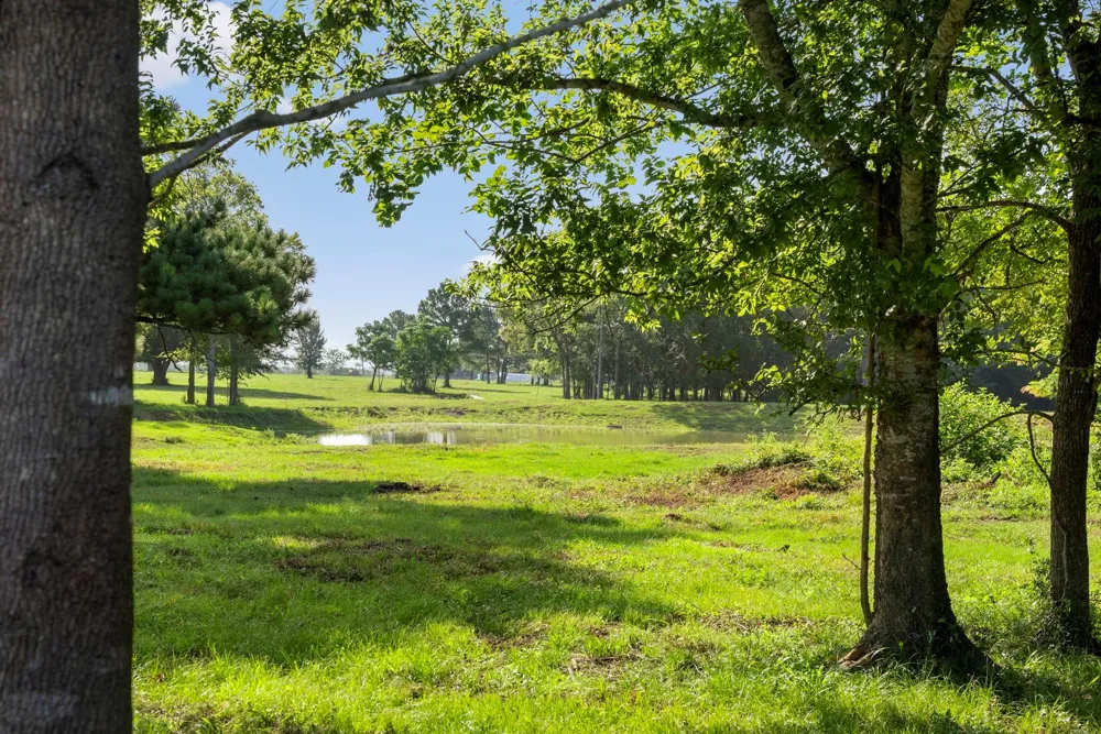 18121 Highway 105 E Plantersville, TX 77363