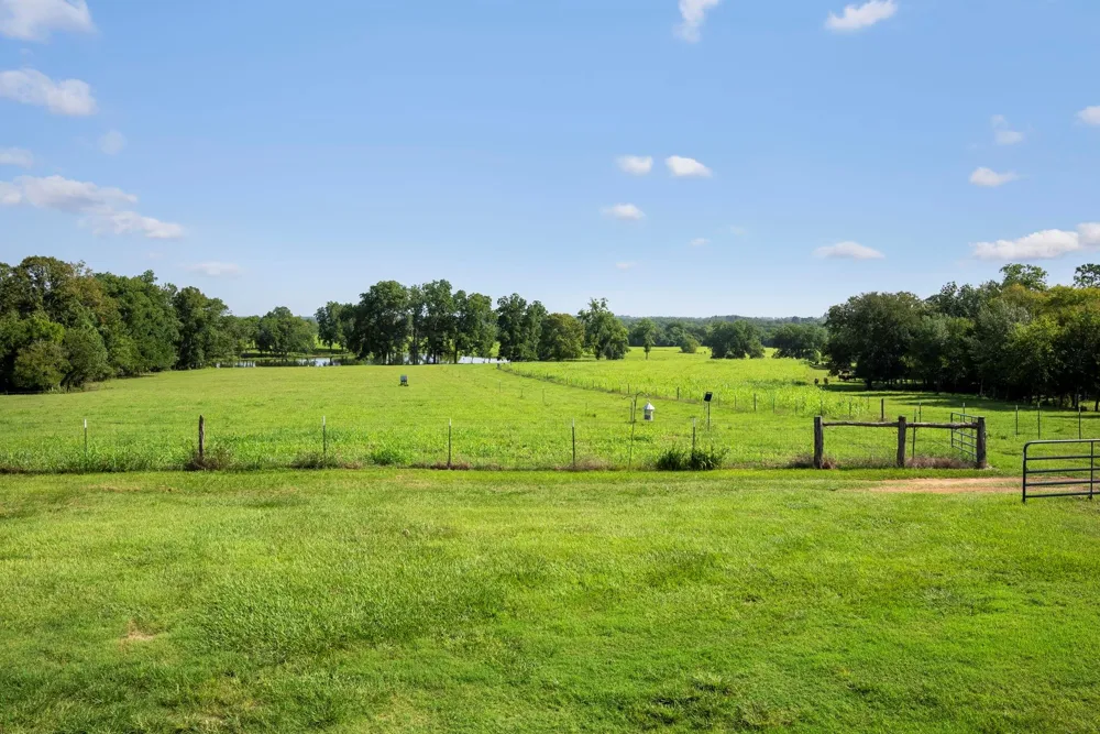 18121 Highway 105 E Plantersville, TX 77363