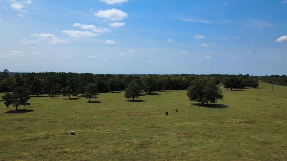 18121 Highway 105 E Plantersville, TX 77363