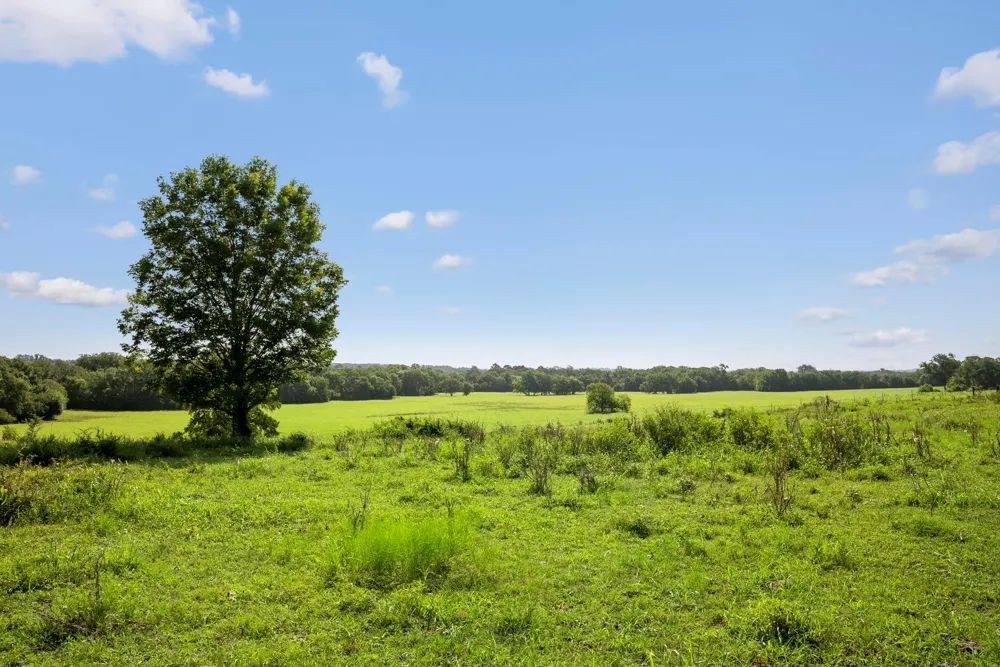18121 Highway 105 E Plantersville, TX 77363