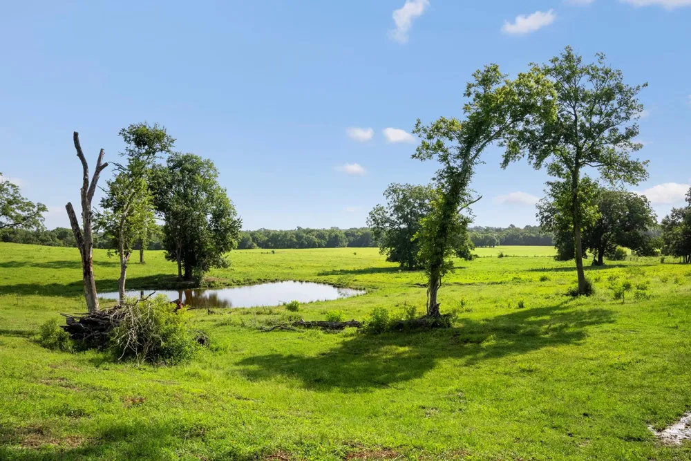 18121 Highway 105 E Plantersville, TX 77363