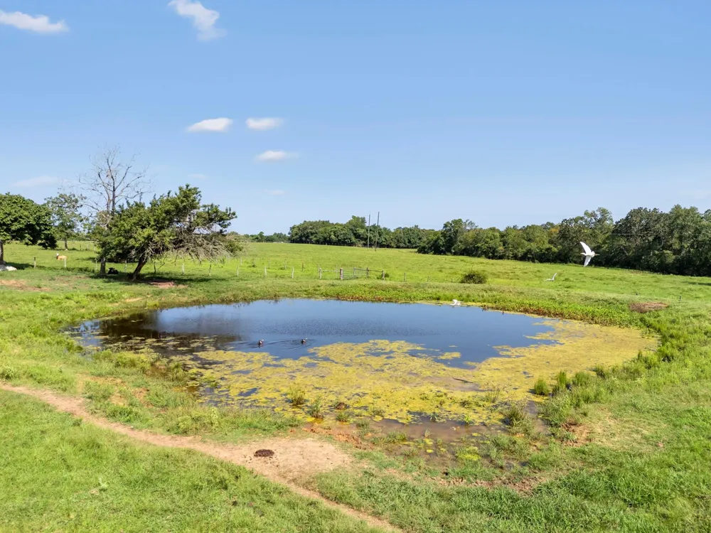18121 Highway 105 E Plantersville, TX 77363