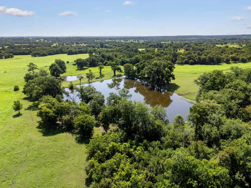 18121 Highway 105 E Plantersville, TX 77363