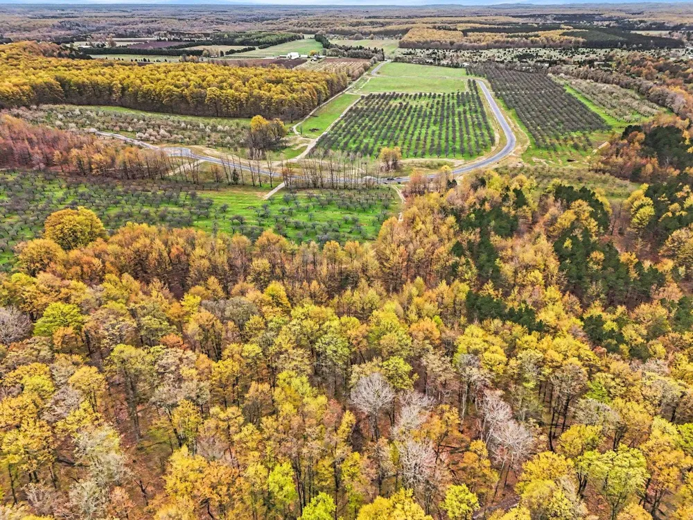 Karnes Road Empire Township, MI 49636