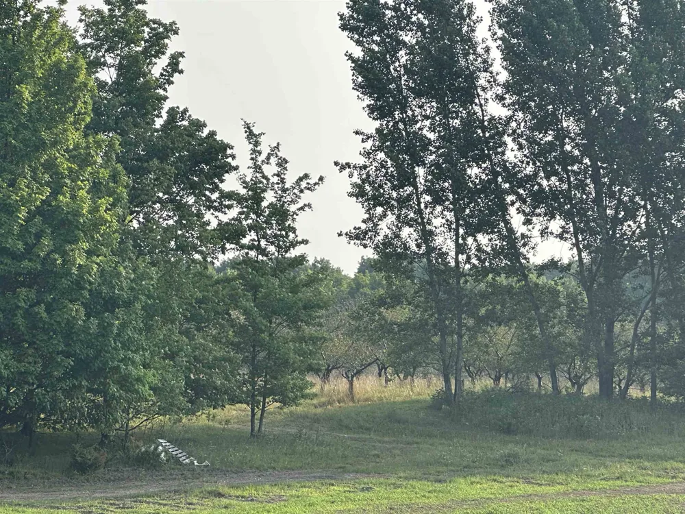 Karnes Road Empire Township, MI 49636