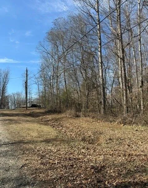 LOT 92 Rue Fieur De Lis Lavonia, GA 30553
