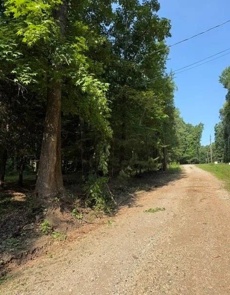 LOT 92 Rue Fieur De Lis Lavonia, GA 30553