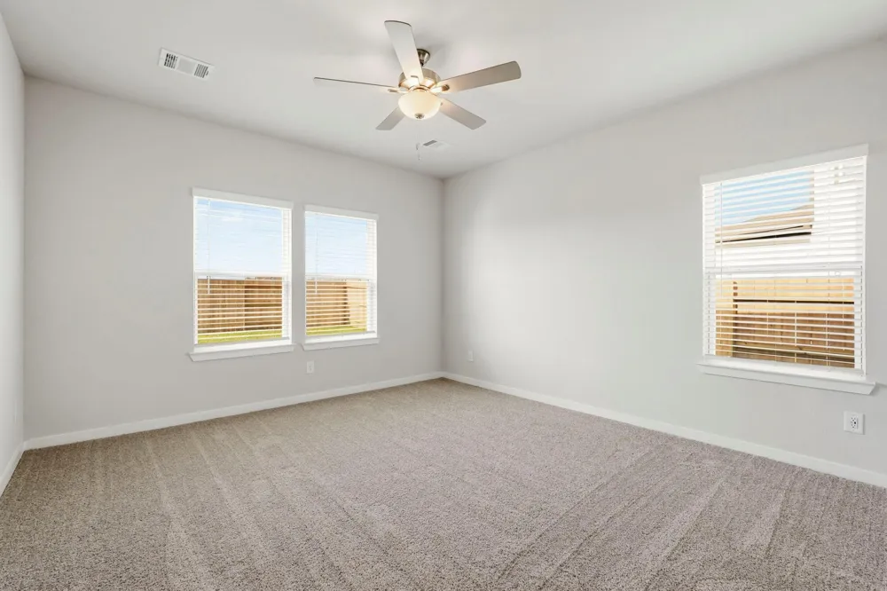 29006 Fig Vine Drive Waller, TX 77484