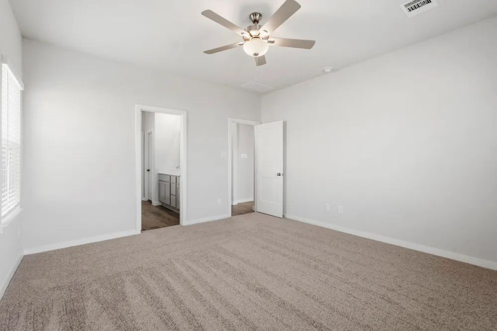 29006 Fig Vine Drive Waller, TX 77484