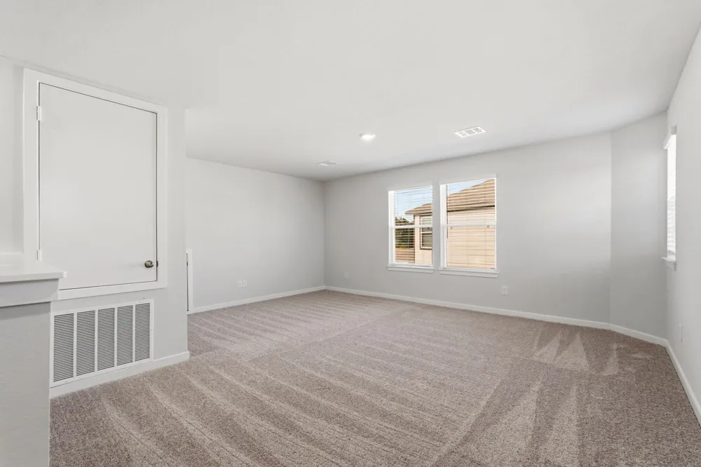 29006 Fig Vine Drive Waller, TX 77484