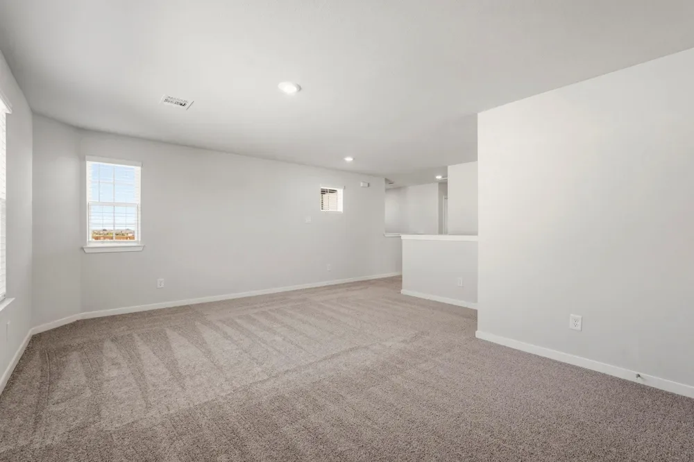29006 Fig Vine Drive Waller, TX 77484