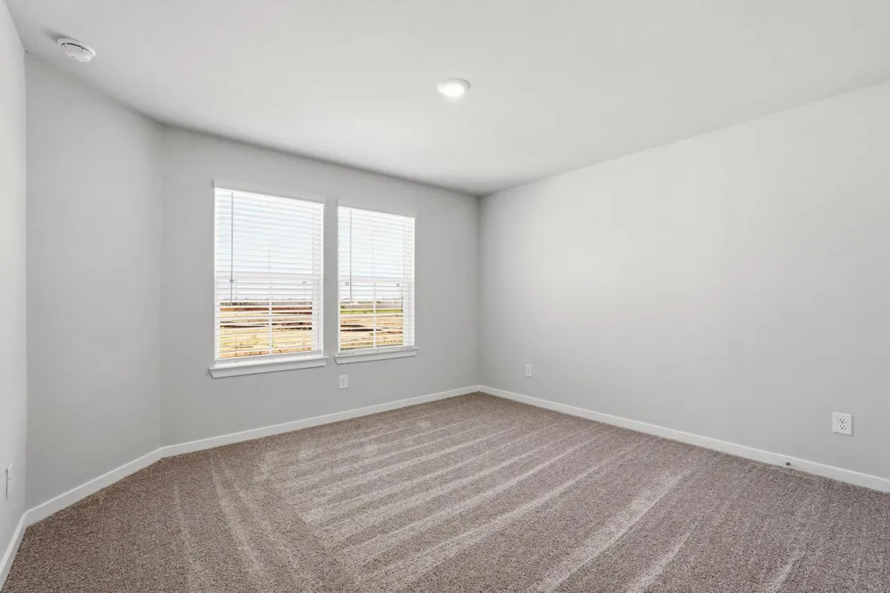 29006 Fig Vine Drive Waller, TX 77484