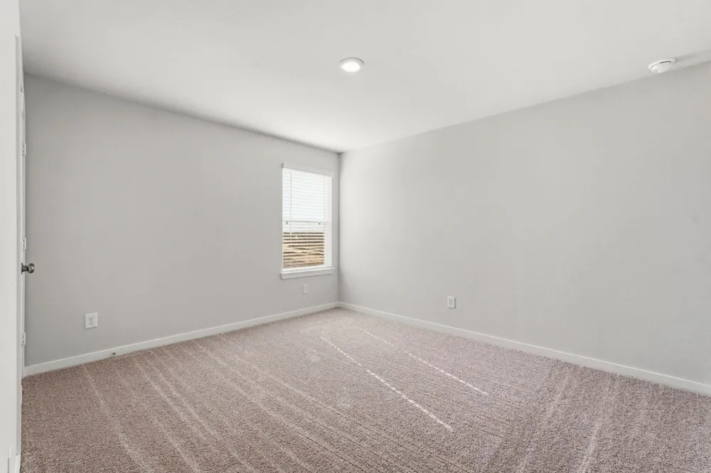 29006 Fig Vine Drive Waller, TX 77484