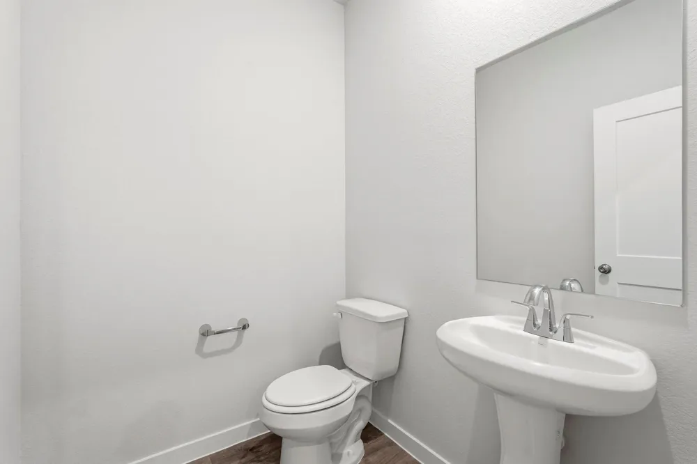 29006 Fig Vine Drive Waller, TX 77484