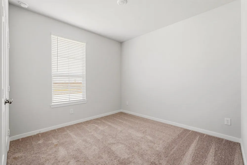29010 Fig Vine Drive Waller, TX 77484