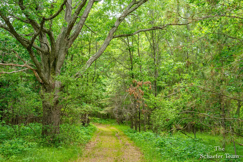 5227 S Johnson Road Greenville, MI 48838