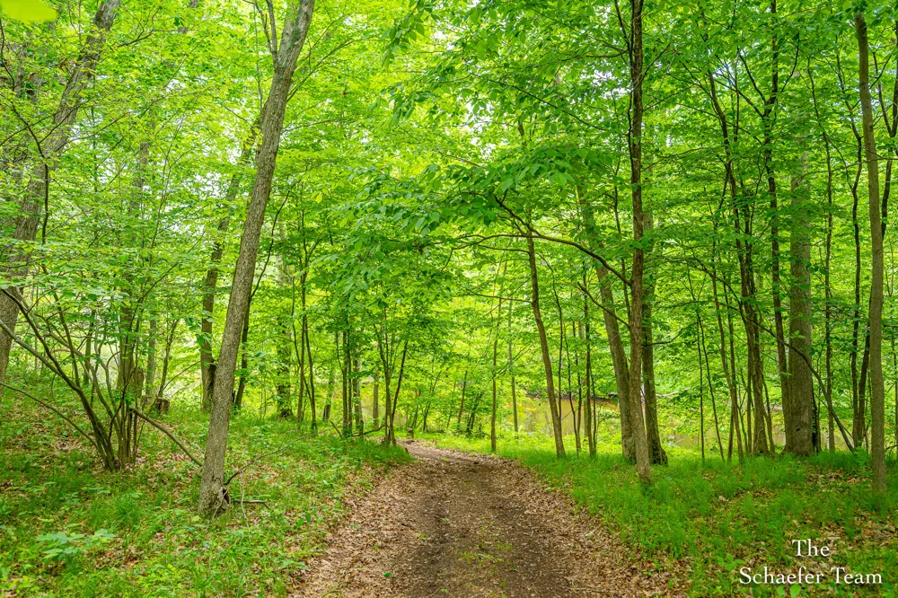5227 S Johnson Road Greenville, MI 48838