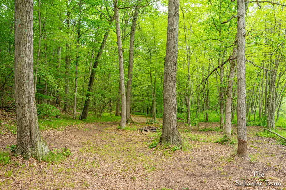 5227 S Johnson Road Greenville, MI 48838