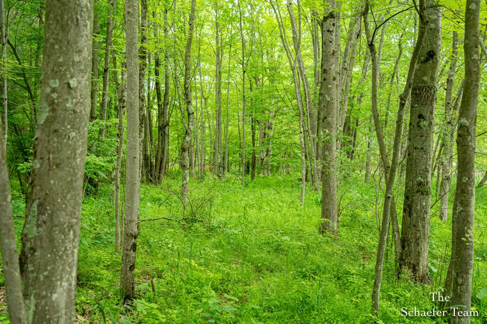 5227 S Johnson Road Greenville, MI 48838