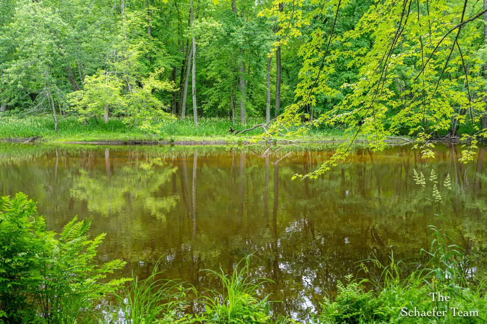 5227 S Johnson Road Greenville, MI 48838