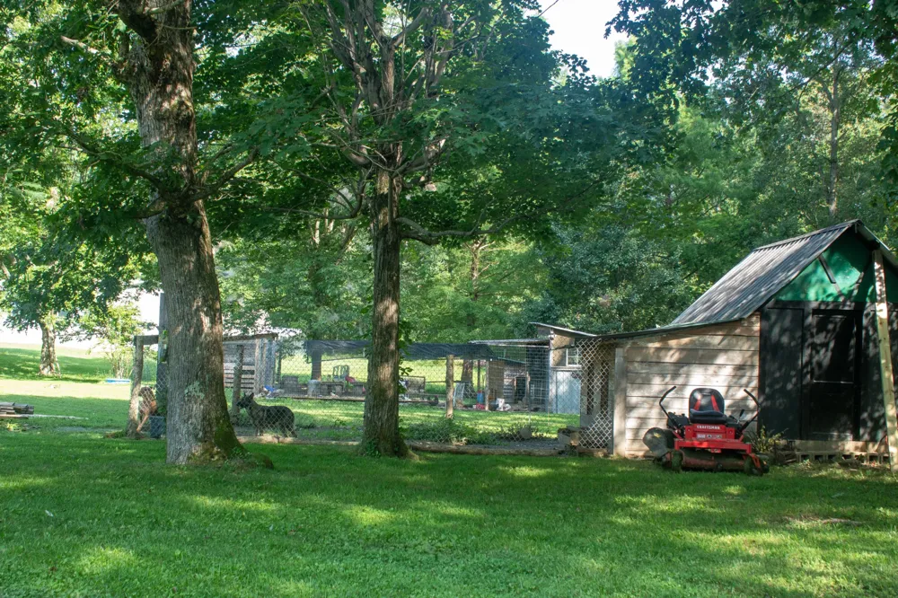 42 Dripping Springs Ct Monterey, TN 38574