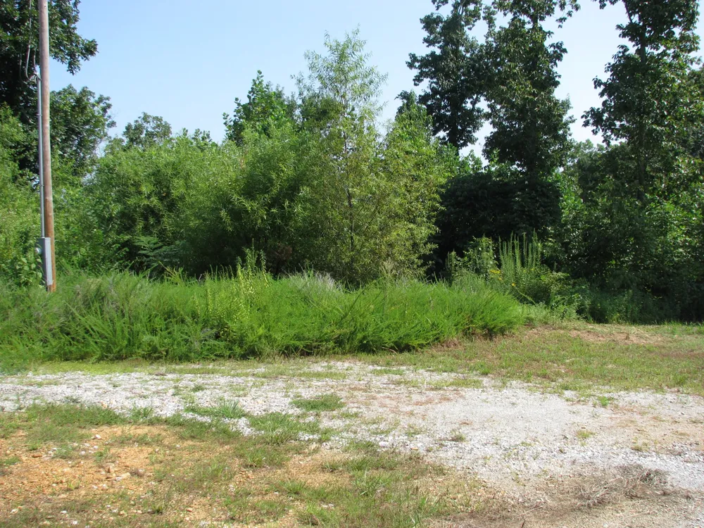 1920 Richland Harbor Rd Waverly, TN 37185