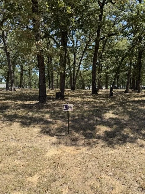 389 St Andrews Drive Mabank, TX 75156