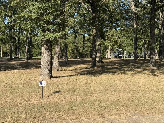 389 St Andrews Drive Mabank, TX 75156