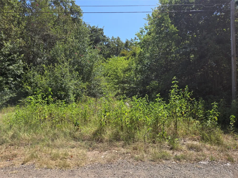 194 Coahoma Mabank, TX 75156