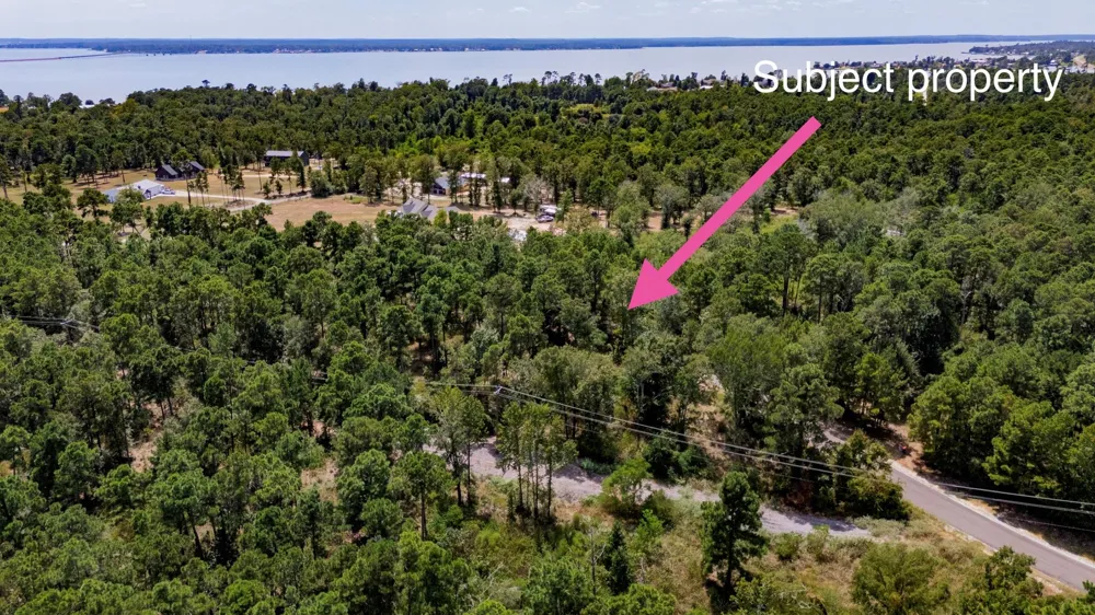 175 Hanson Road Onalaska, TX 77360