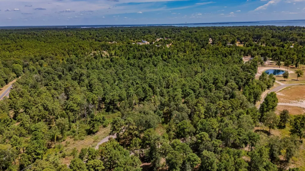 175 Hanson Road Onalaska, TX 77360