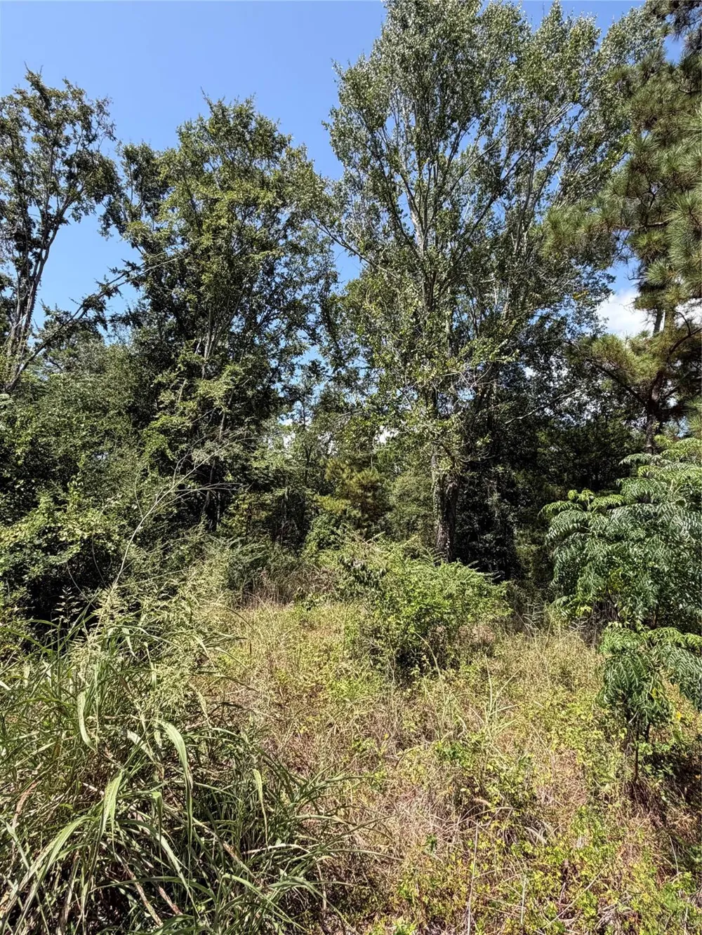 175 Hanson Road Onalaska, TX 77360
