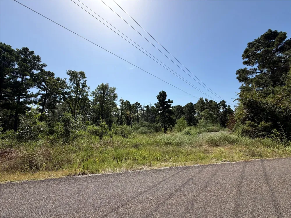 175 Hanson Road Onalaska, TX 77360