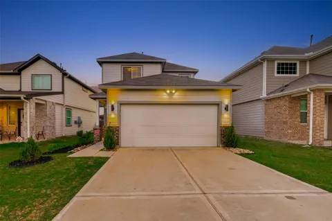23639 Buttress Root Drive