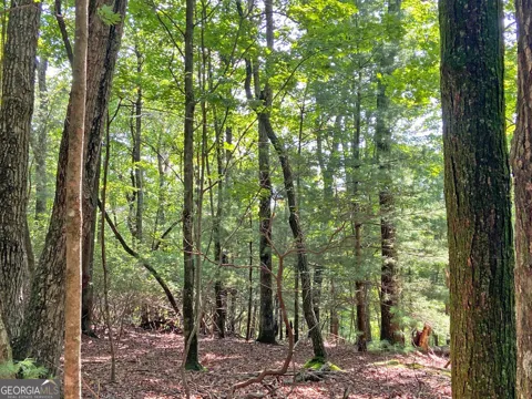 11AC T S Jarrard Road