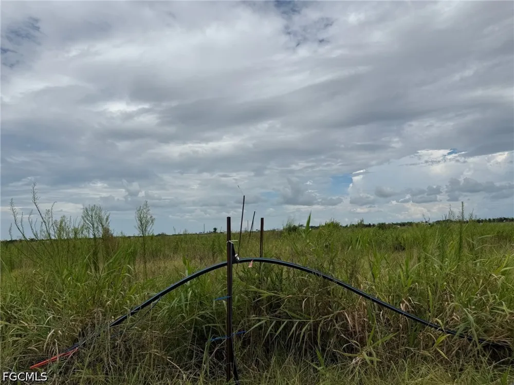 6380 3rd Road Labelle, FL 33935