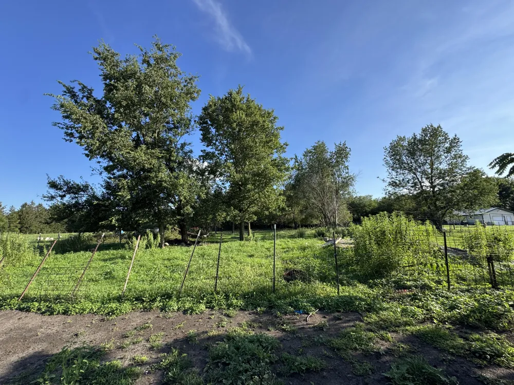 766 W Park Road Monon, IN 47959
