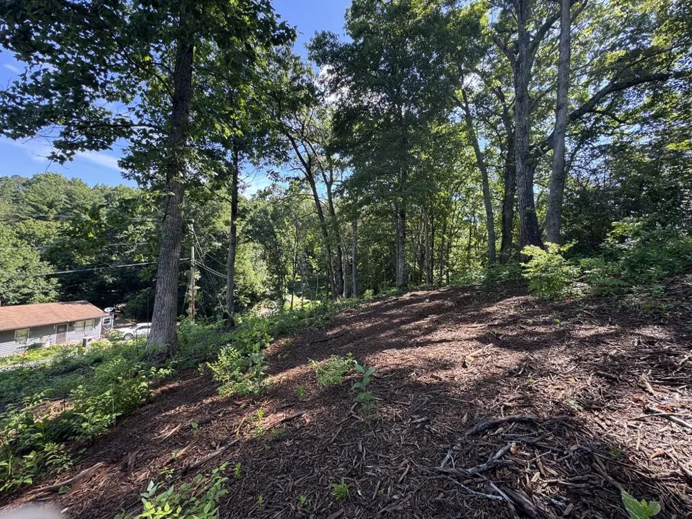 Kingwood Cir Franklin, NC 28734