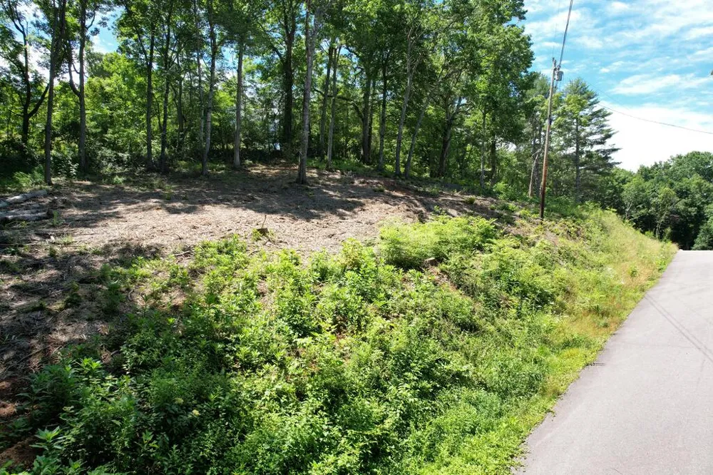 Kingwood Cir Franklin, NC 28734