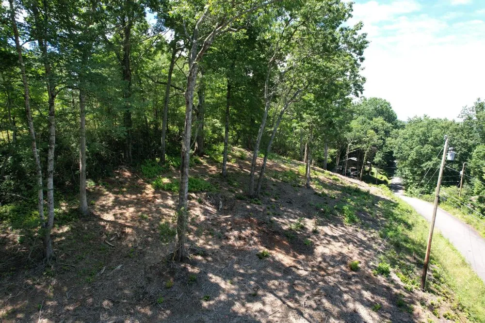 Kingwood Cir Franklin, NC 28734