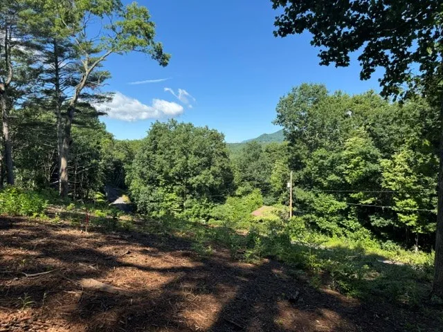 Kingwood Circle Franklin, NC 28734