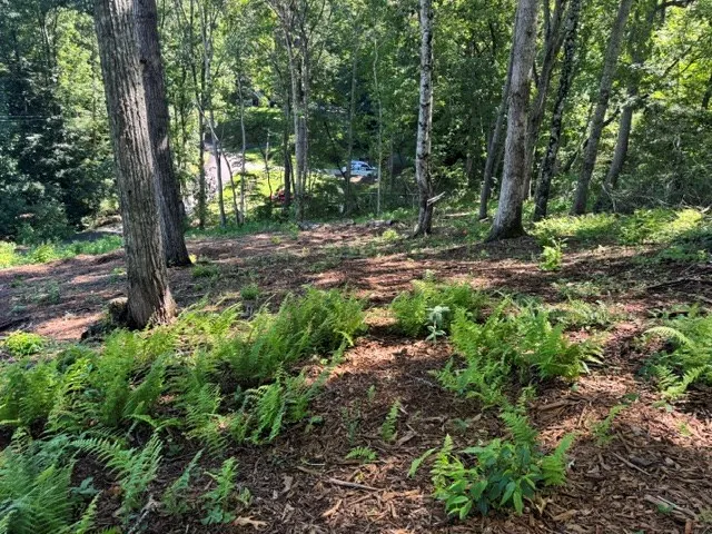 Kingwood Circle Franklin, NC 28734