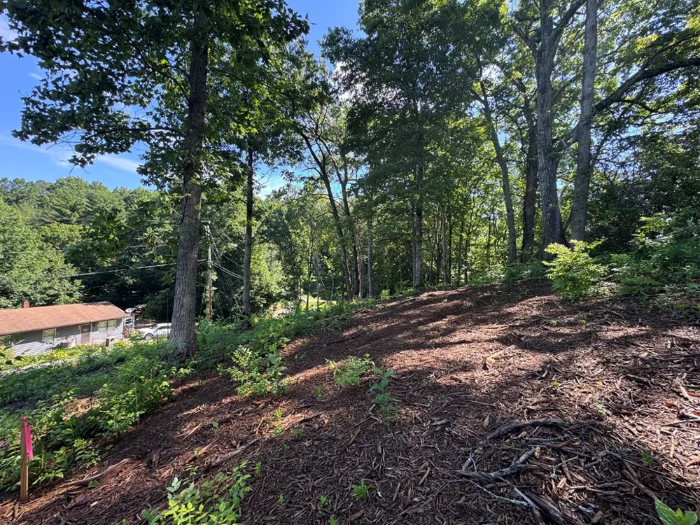 Kingwood Circle Franklin, NC 28734